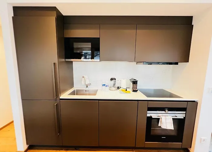 Gorgeous 1 Bedroom Flat With Balcony&parking * Lüksemburg